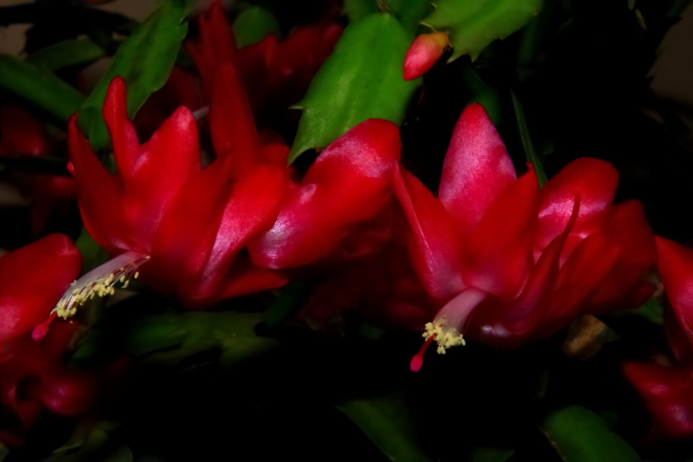 2010 11 19 IMG 15501e